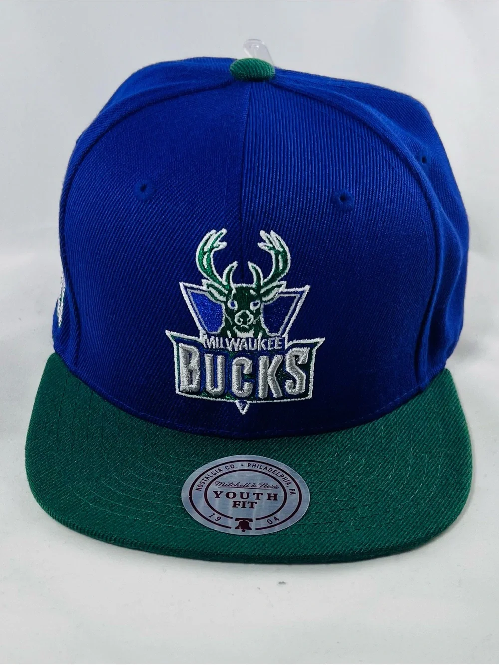 Mitchell & Ness Purple and Green Snapback Hat